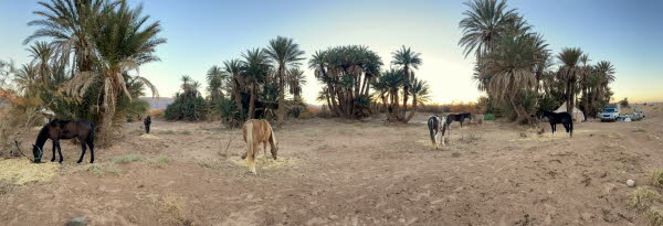 05-IMG-20230128-WA0024